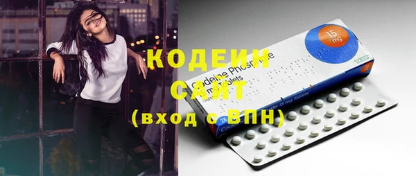 хмурый Арсеньев