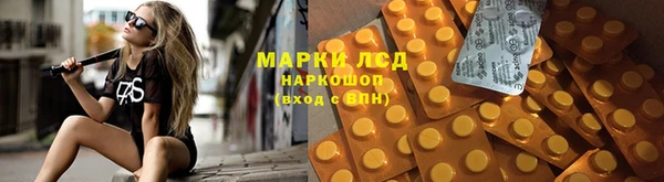 хмурый Арсеньев