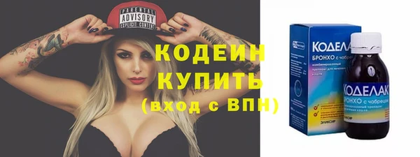 хмурый Арсеньев