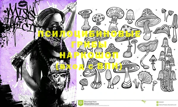 хмурый Арсеньев