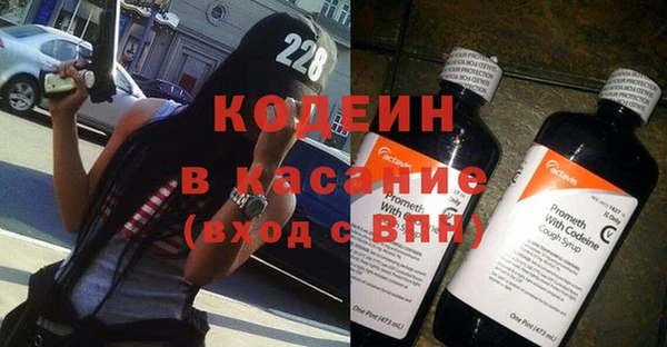 хмурый Арсеньев