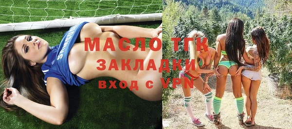 хмурый Арсеньев